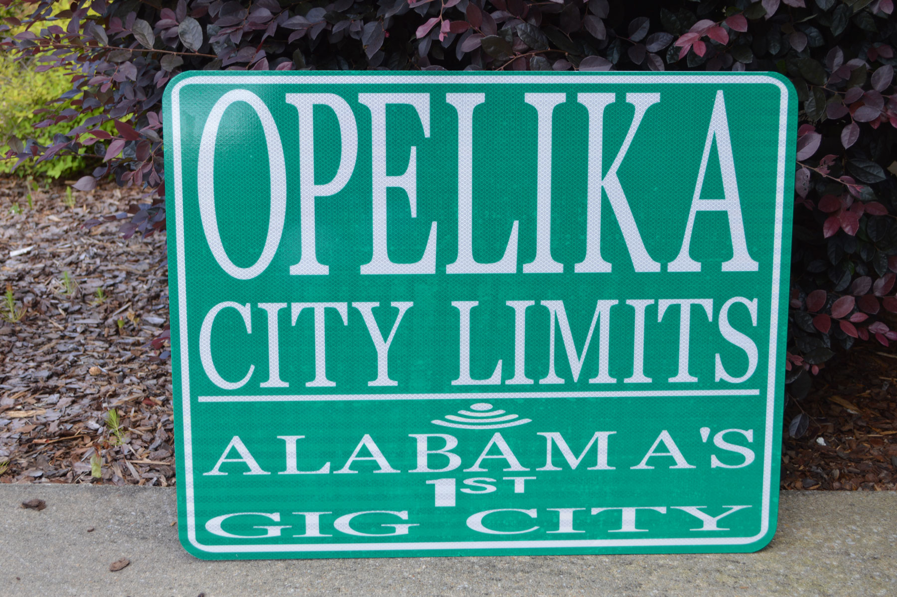 Opelika Considers Medical Cannabis Dispensing in City
