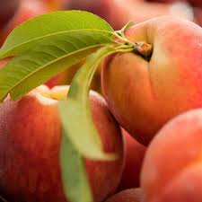 ACES: Alabama peach production takes major hit