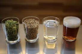 Hops. Home Brew Workshop to be held Sept. 20