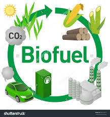 bio fuel energy