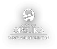 Opelika Parks and Rec announces ‘Opelika Youth Sports Night’ with the Columbus Lions June 29