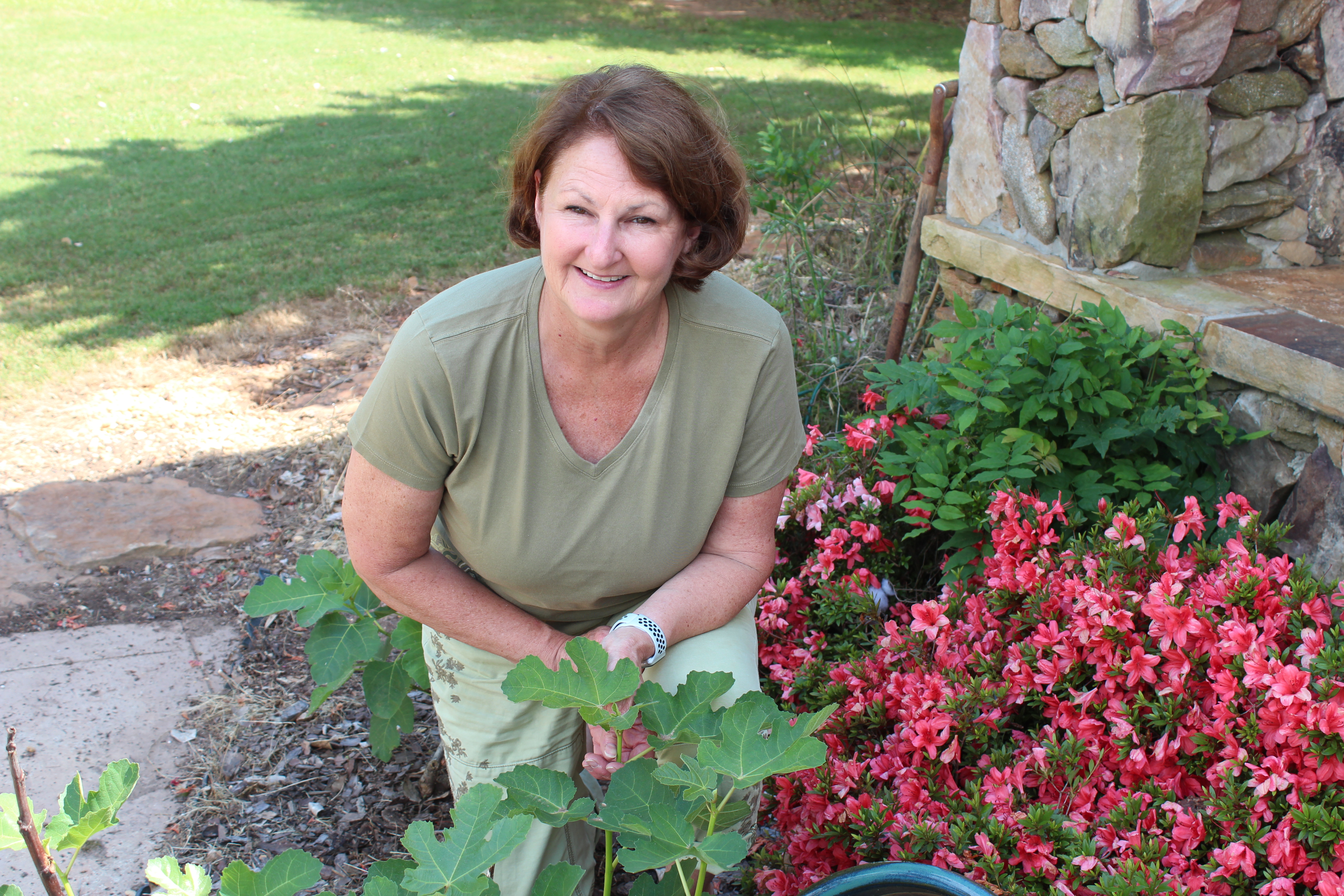 Dr. Shirley Lazenby shares recipes for figs, other summer favorites