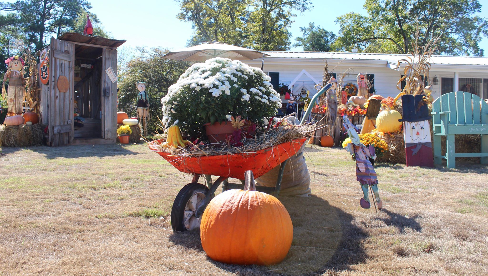 Opelika resident shares joy of fall through large yard display