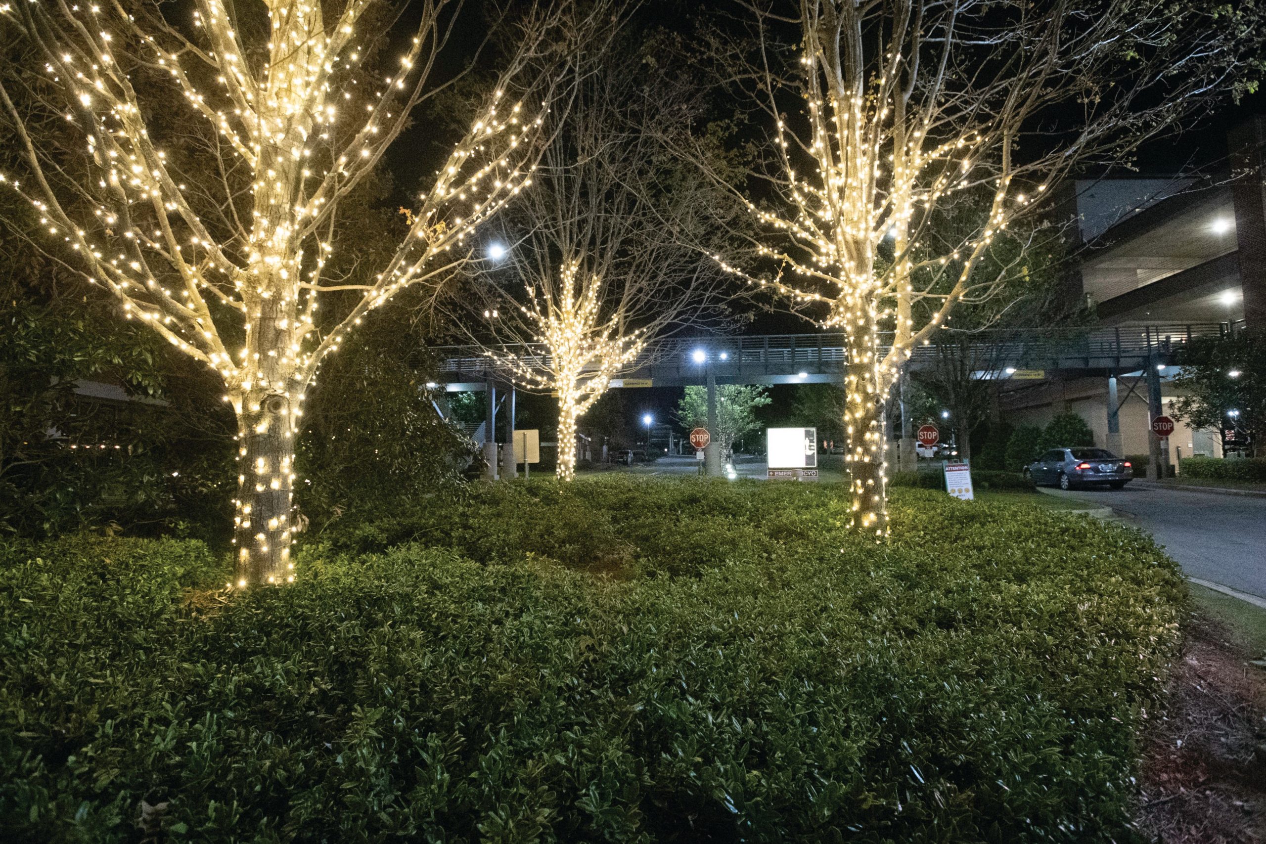 Local outdoor lighting company brings ‘glow’ of hope to EAMC