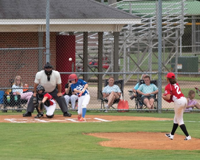 Dixie Youth Baseball back at bat The Observer