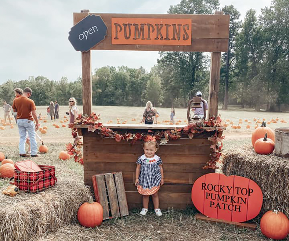 Area pumpkin patches open for business | The Observer