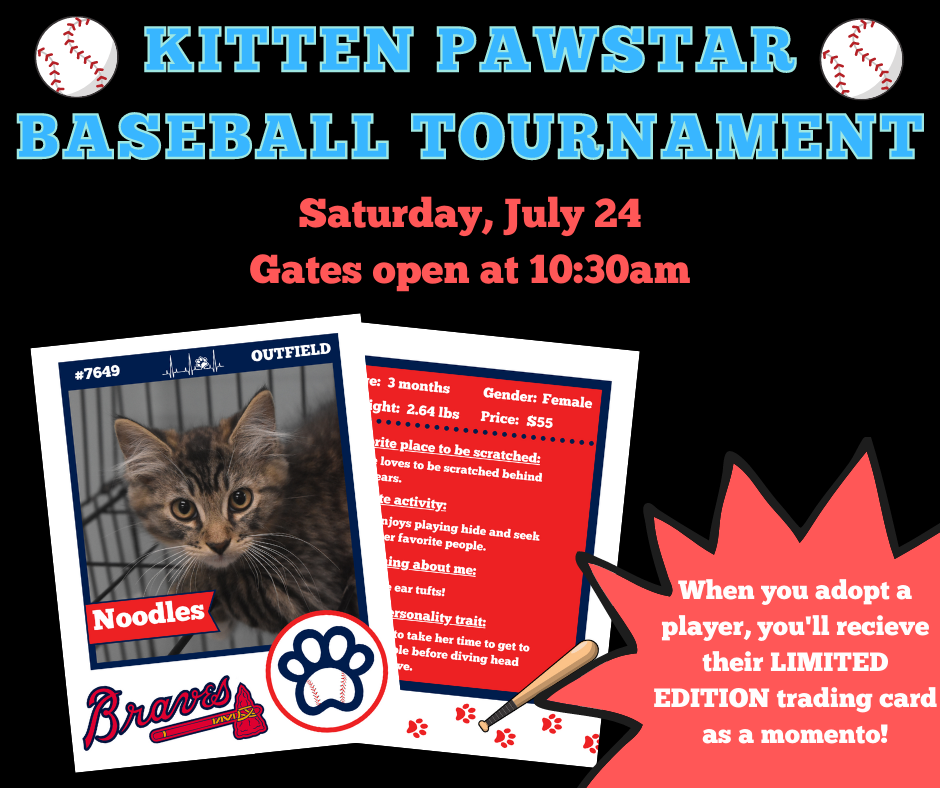 Get a PawStar Baseball Card at LCHS Kitten Adoption Event