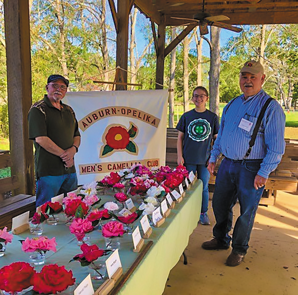 Fall Camellia Show at Pioneer Park