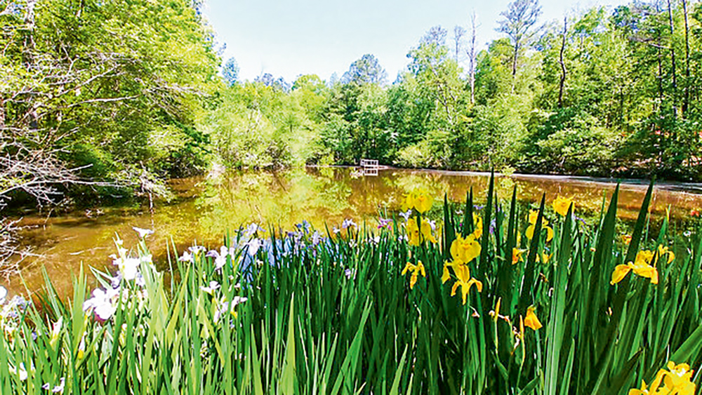 Kreher Preserve & Nature Center Announces Spring, Summer Camps