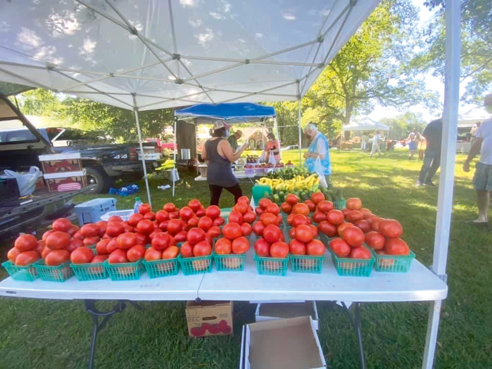 Ogrows Open Air Farmers Market Returns May 17
