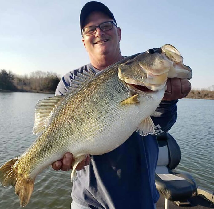 Fish2021