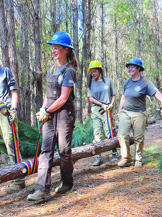 Community Partners Work Together to Prepare for the Creekline