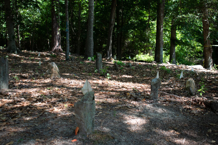 Giddens-site3-1
