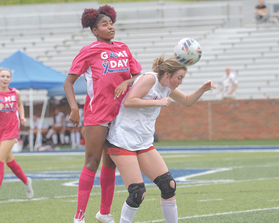 AHS Girls Soccer Falls Within Goal of State Championship
