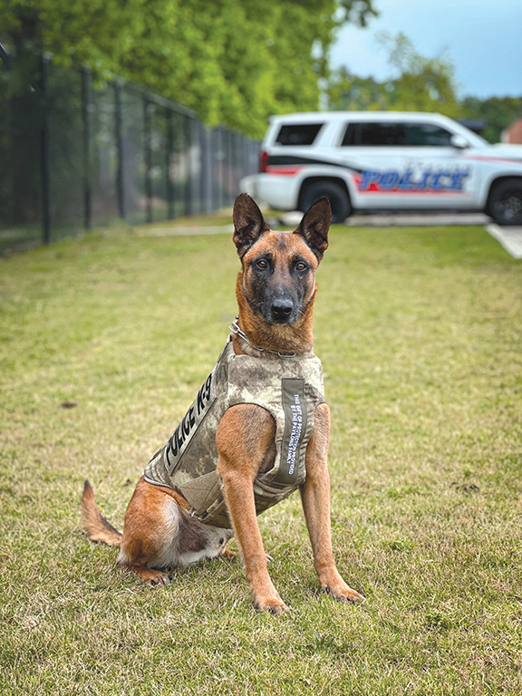 Opelika Police Department’s K9 Bane Has Received Donation of Body Armor