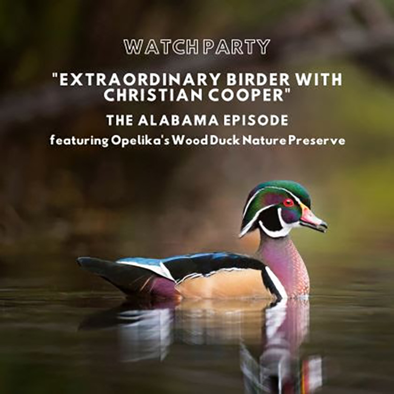 Opelika Wood Duck Nature Preserve to be Featured on Nat Geo Show