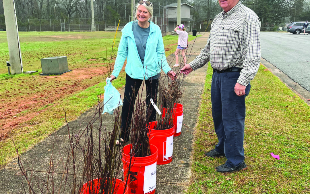 Keep Opelika Beautiful, Auburn Tree Commission host giveaways
