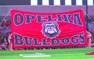 High school football playoff preview