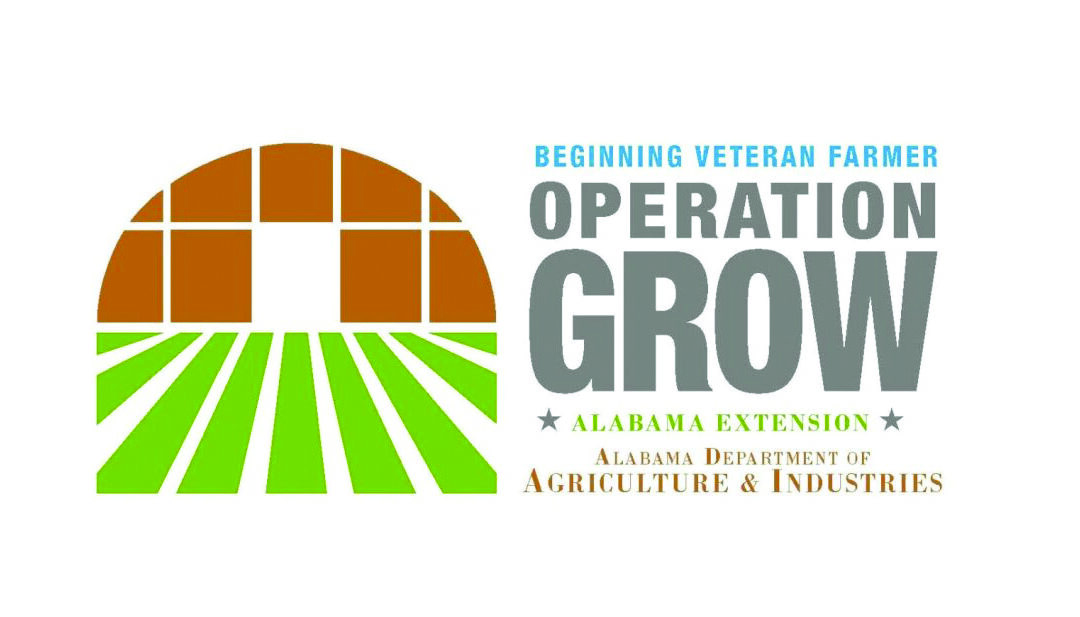 Operation Grow for military veterans