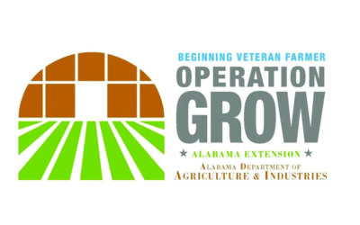 Operation Grow for military veterans