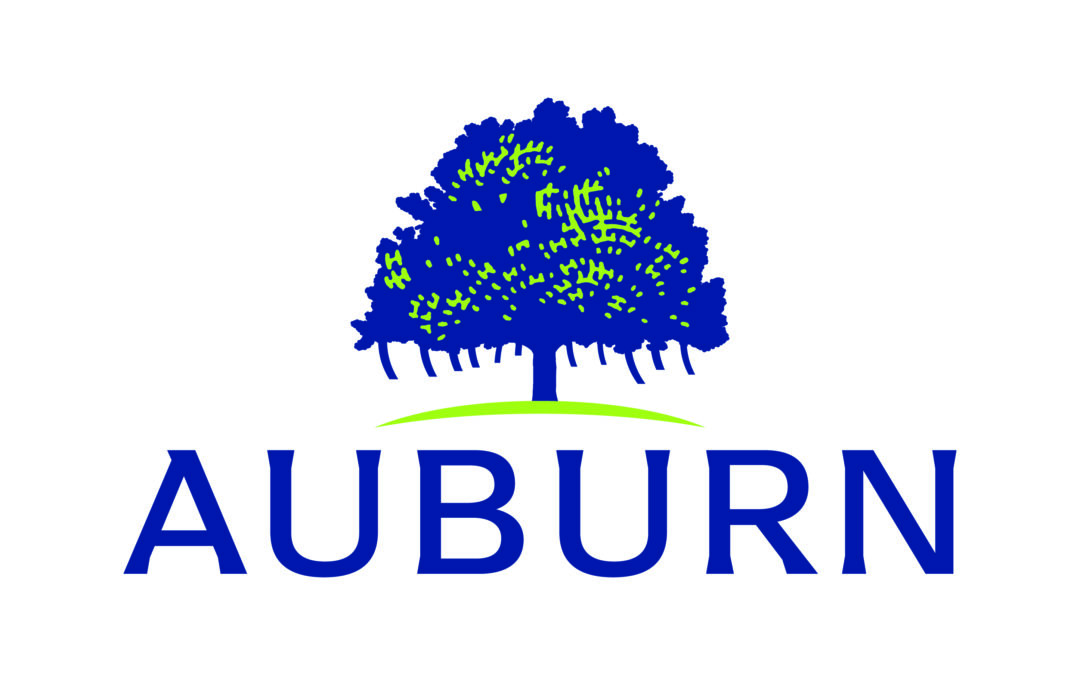 Auburn Council sinks porta-potty business