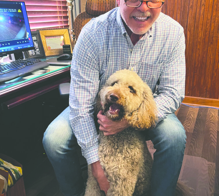 Trip Walton brings a fighter’s mindset into law practice
