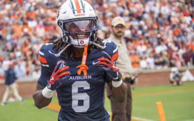 Cat vs bird, tale as old as time — AU wins