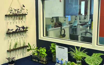 Auburn Public Library launches Houseplant Propagation Station