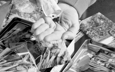 Planting seeds yields fall crops and life lessons