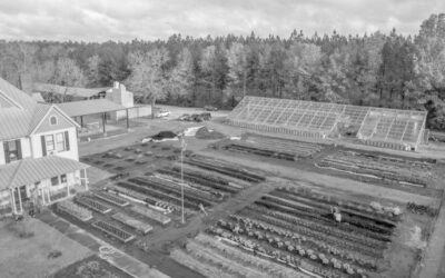 Rural Renaissance Roadshow coming to Opelika Nov. 10–12