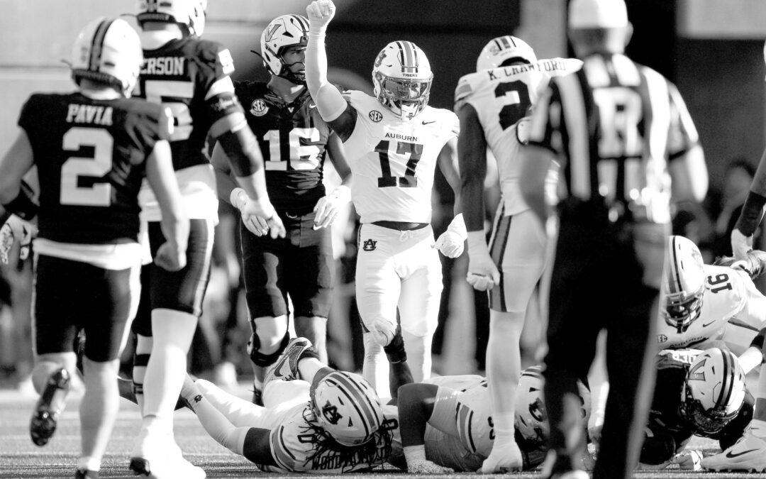 Tigers fall in overtime but find new life in Nashville