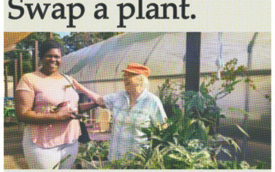 O Grows Houseplant Swap connects potted plants and people