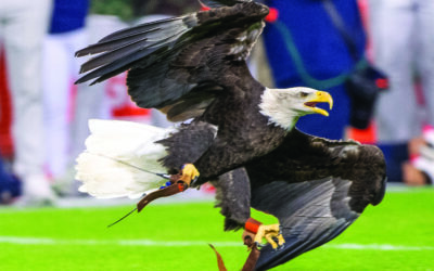 Letter to the editor | The demise of Jordan-Hare