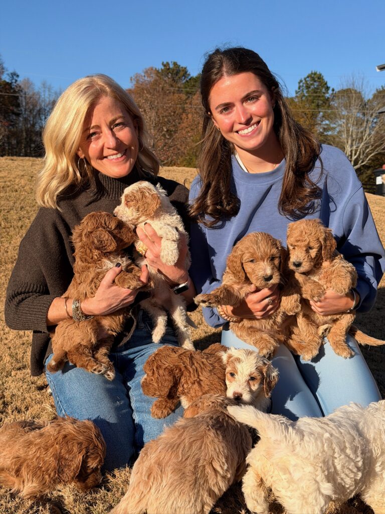 HappyPaw Doodles welcomes new puppies, seeks two guardian homes