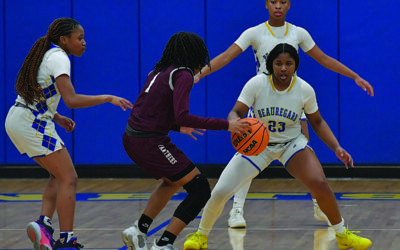 Lady Hornets advance, boys fall short in first round playoffs