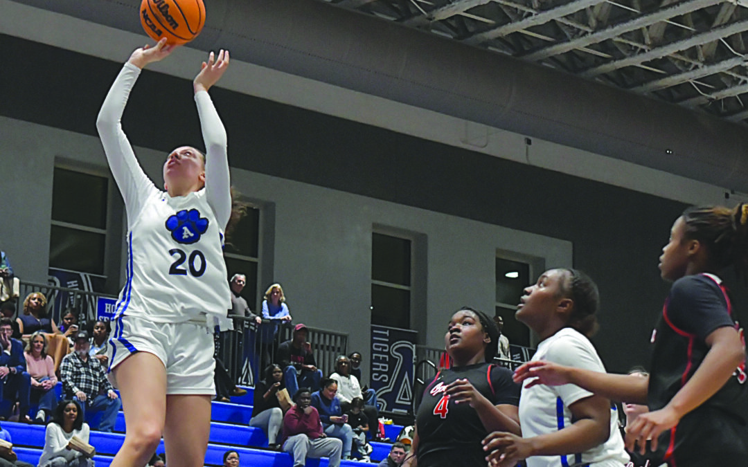 Lady Tigers advance to next round of playoff after series of wins