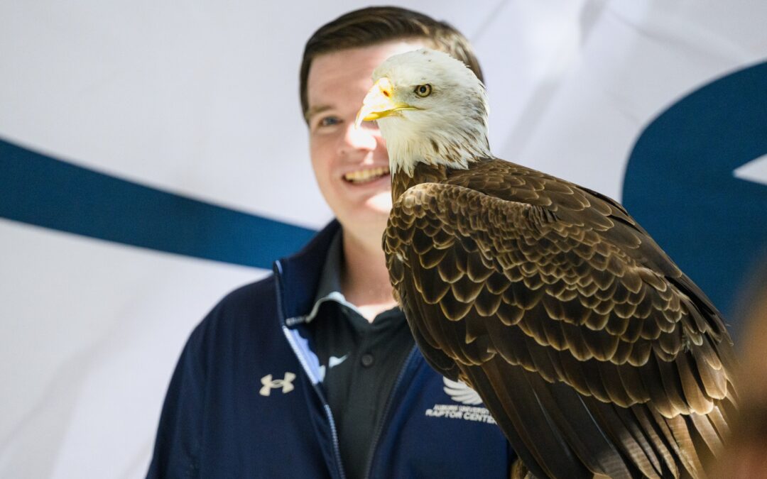 Vet Fest 2026 welcomes community for free family fun