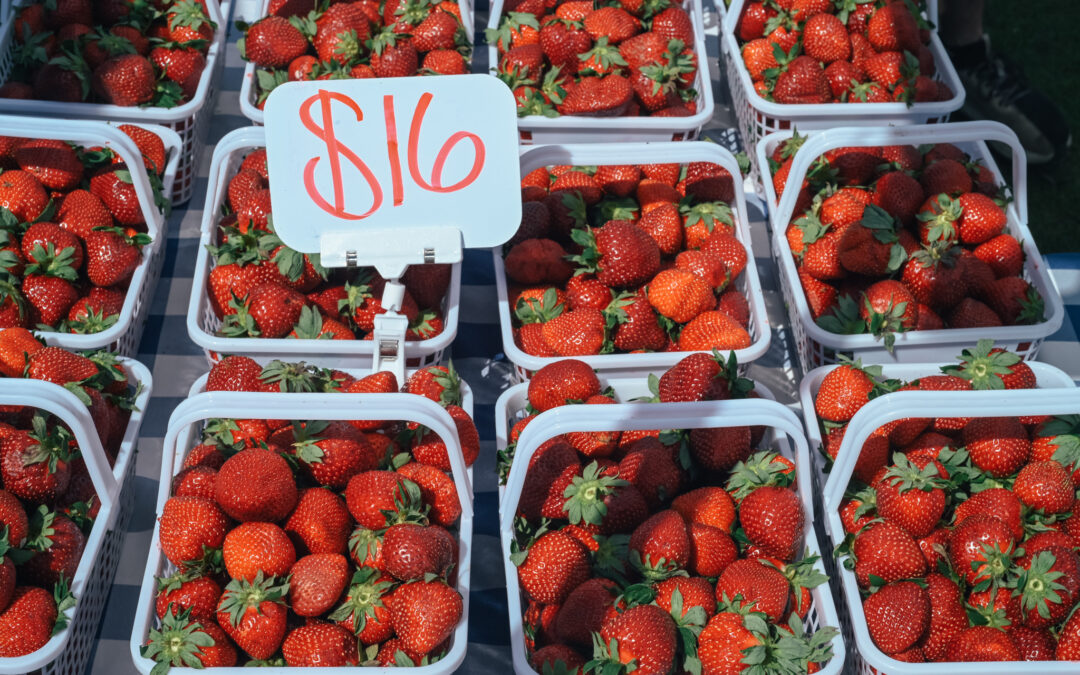 O Grows to host Strawberry Block Party