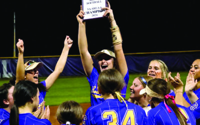 Lady Hornets claim area tourney at home