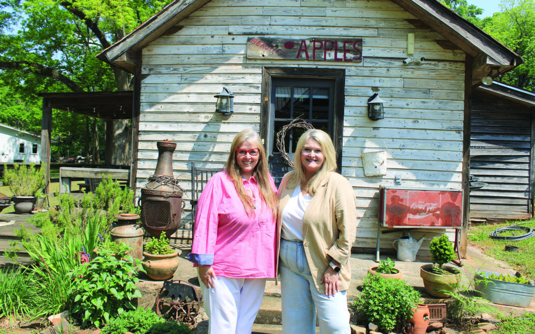 Dreams come true at Shoofly Farms