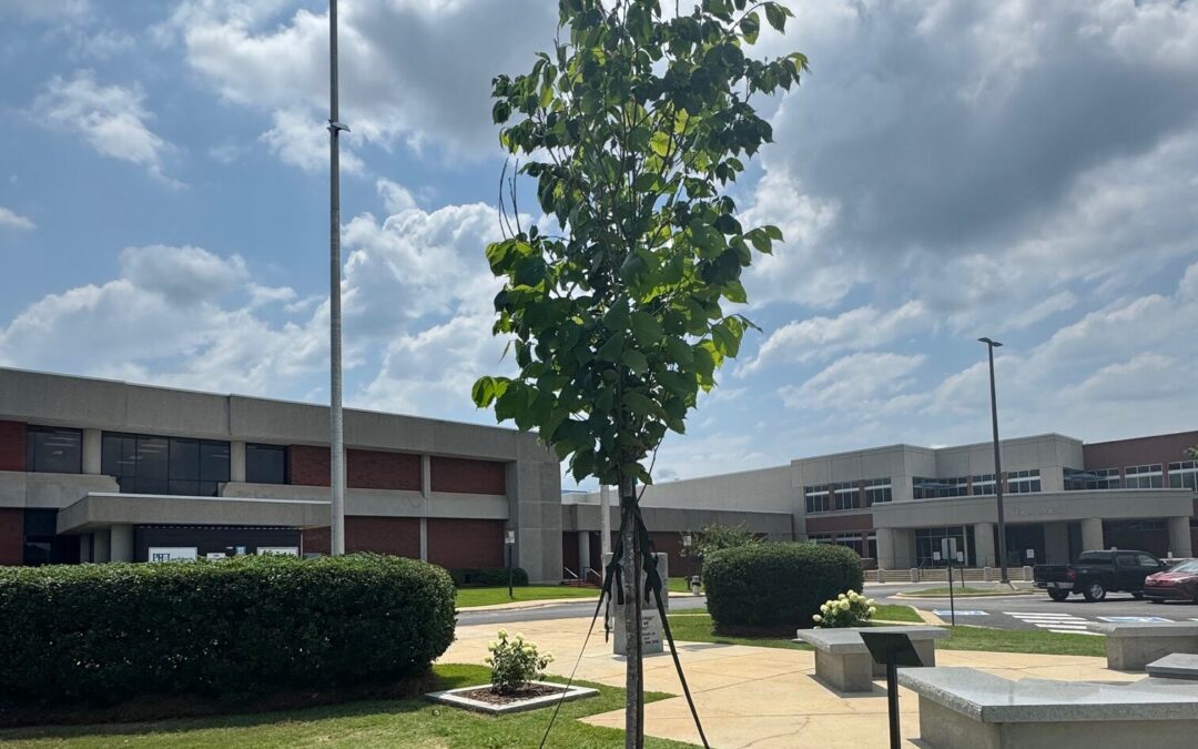 Lee County Commission to Dedicate Liberty Tree as Part of Alabama’s America 250 Commemoration