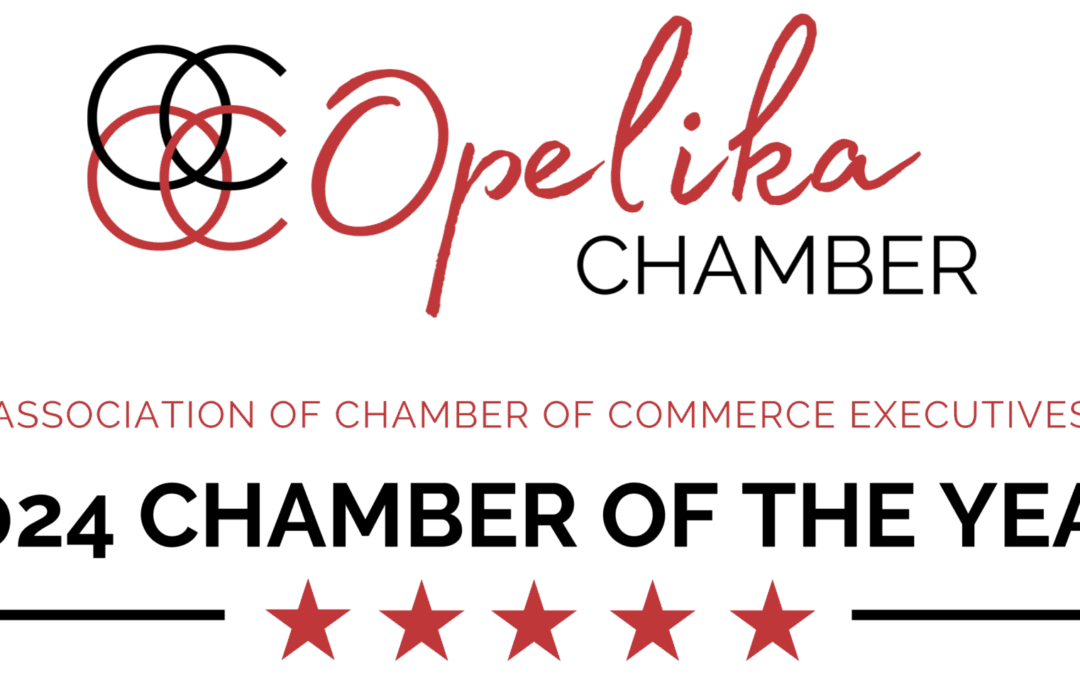 Opelika Chamber announces 2027 ‘Wizarding Wonders’ trip to England, Scotland
