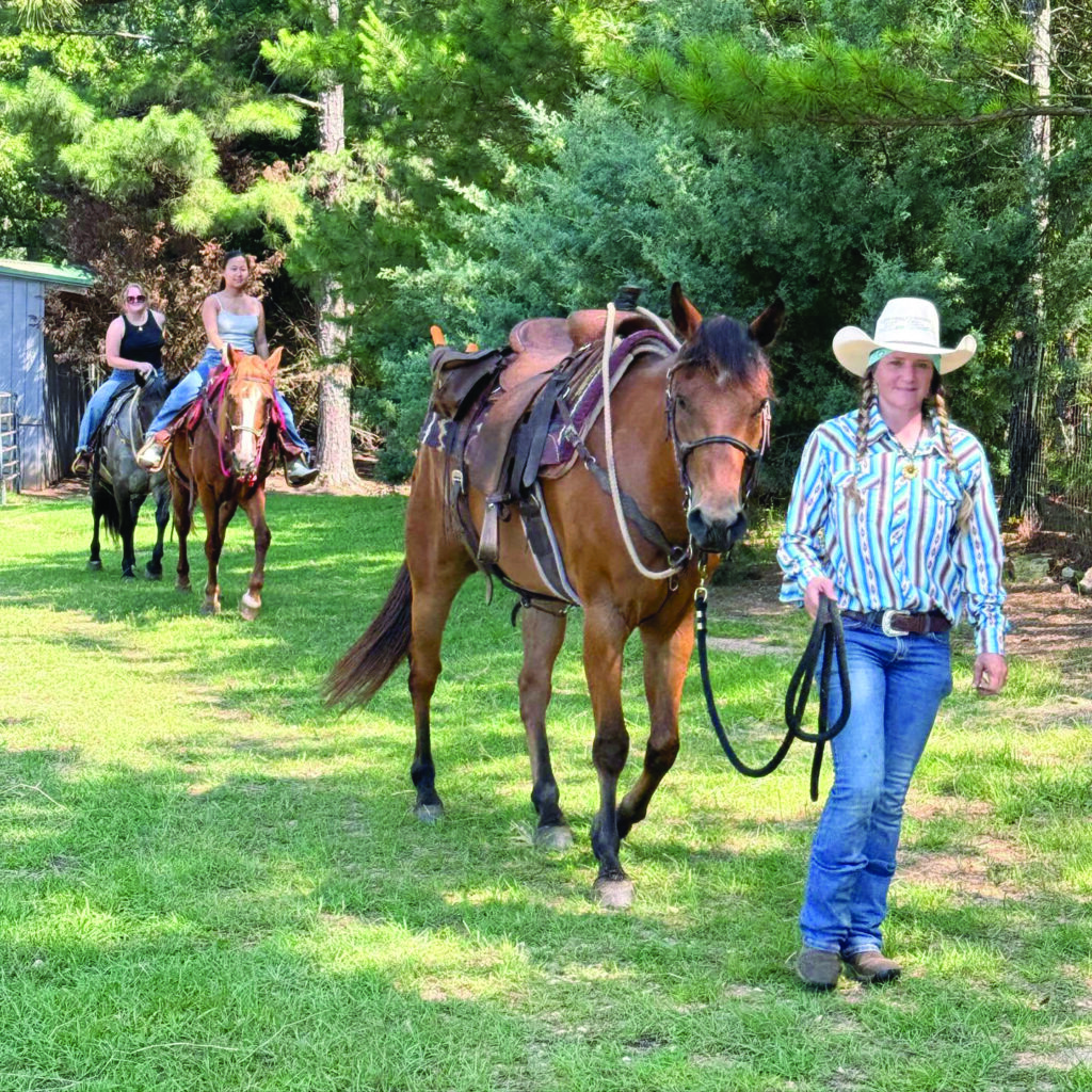 Alabama Equestrian Announces Opening Of A New Holistic Horsemanship Business