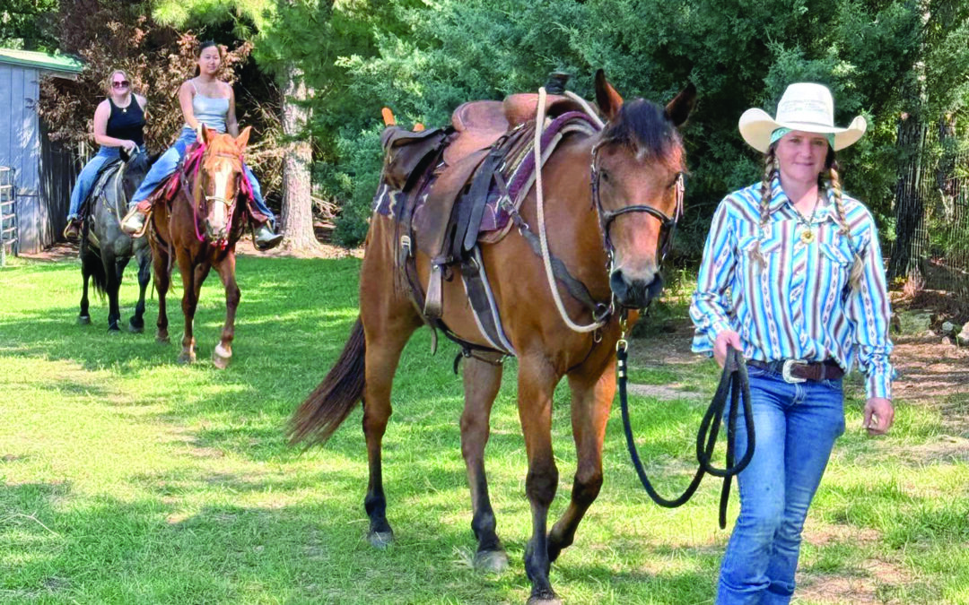 Alabama equestrian announces opening of a new holistic horsemanship business