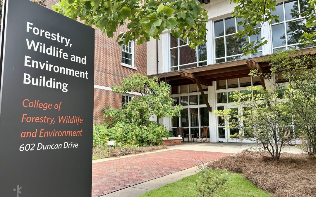 Competing claims at heart of Auburn University lawsuit