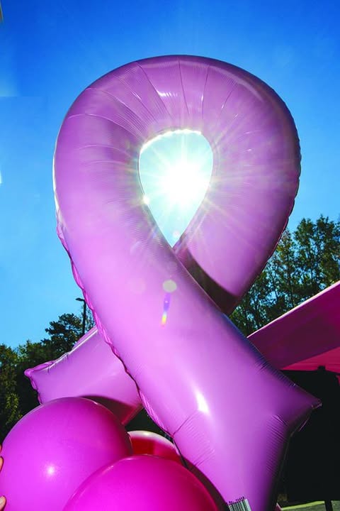 Think Pink Marks 22 Years Of Support Celebration