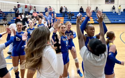 Lady Hornets secure first area win of the season