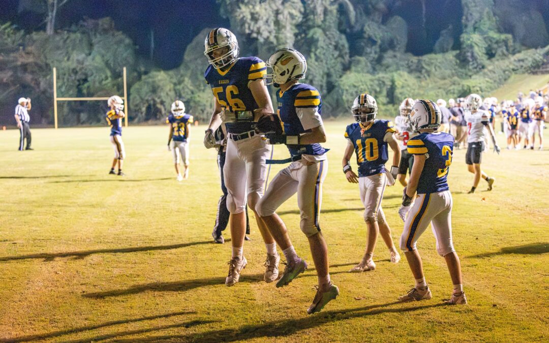 Eagles take flight over Springwood