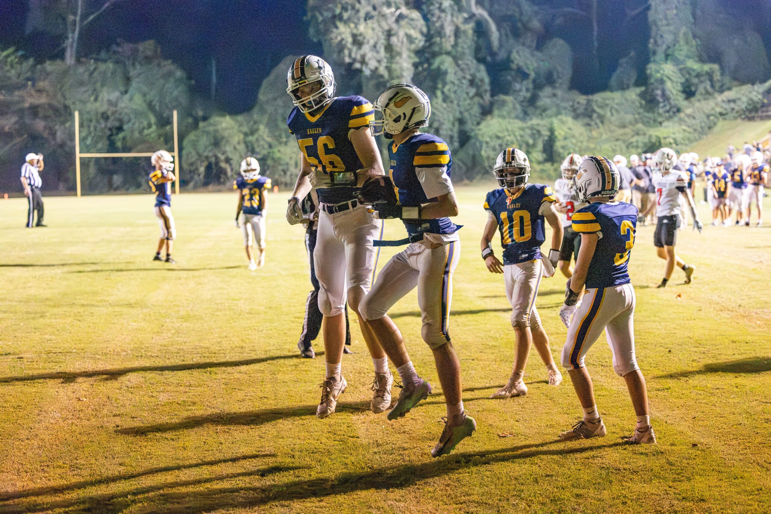 Eagles Take Flight Over Springwood