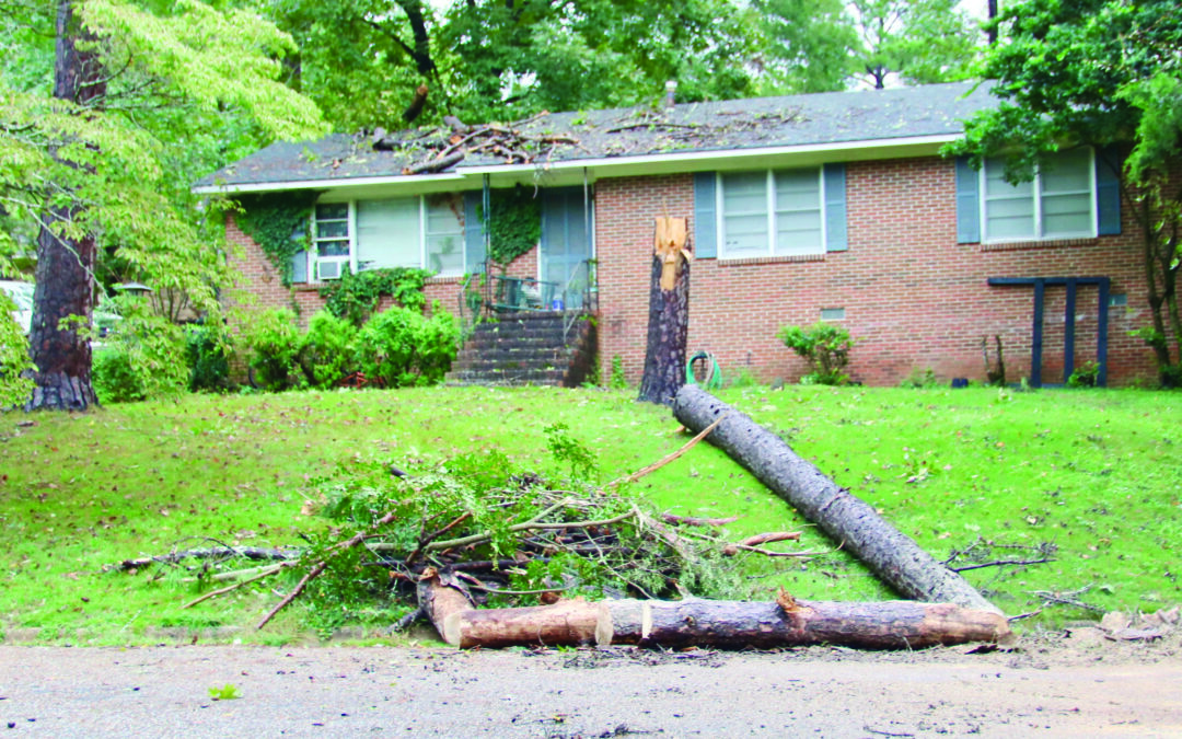 Hurricane Isaias brings downed trees, power lines